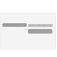 Double Window Envelope for 4-Up Box W-2's (4UPDWENV05)